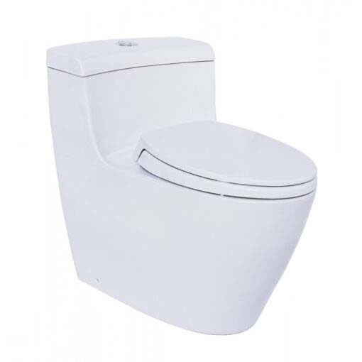 bon-cau-toto-ms636dt2-1-510x510