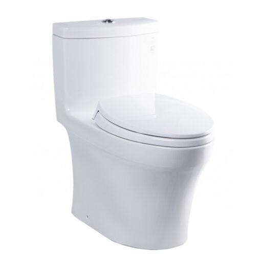 bon-cau-toto-ms889dt2-510x510